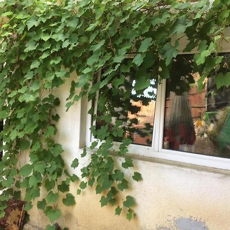 Отель Casa Cu Curte Брашов Экстерьер фото
